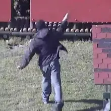 Zobacz zdjęcie: Piją alkohol na placach zabaw, udają ninja i niszczą mienie