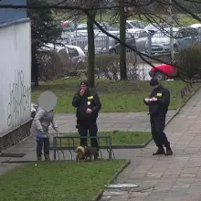Zobacz zdjęcie: Bolesławianie nadal nie sprzątają po pupilach