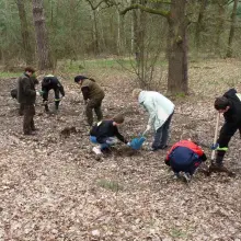 Zobacz zdjęcie: Druhowie z Ławszowej posadzili kilkaset drzew