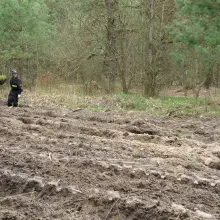 Zobacz zdjęcie: Druhowie z Ławszowej posadzili kilkaset drzew