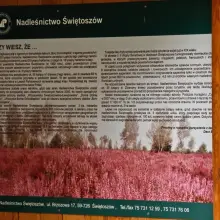 Zobacz zdjęcie: 10BKPanc: Las to nasze wspólne dobro