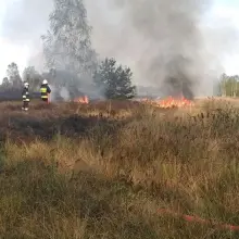 Zobacz zdjęcie: Pożar na poligonie w Świętoszowie