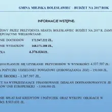 Zobacz zdjęcie: Przyszłoroczny budżet Bolesławca uchwalony