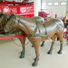 Zobacz zdjęcie: Muzeum pożarnictwa w Oseredku