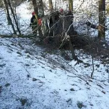 Zobacz zdjęcie: Renault wypadł z drogi i wpadł do rowu