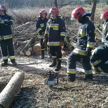 Zobacz zdjęcie: Porywisty wiatr powalił kilka drzew w Bolesławcu