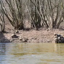 Zobacz zdjęcie: Kilkadziesiąt drzew zniknęło znad Bobru