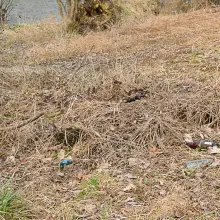 Zobacz zdjęcie: Urządzają pijatyki pod mostem na Mostowej