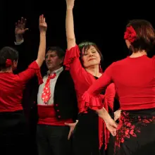 Zobacz zdjęcie: Festiwal flamenco i tańca orientalnego