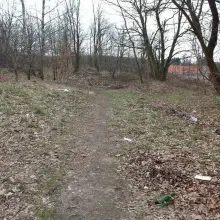 Zobacz zdjęcie: Odchody, puszki i butelki na terenach zielonych za Dino