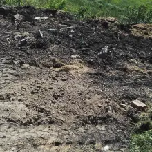 Zobacz zdjęcie: Potworny odór na Zabobrzu. Śmietnisko na prywatnej działce