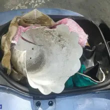 Zobacz zdjęcie: Jechał kradzionym skuterem w kasku z… doniczki