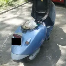 Zobacz zdjęcie: Jechał kradzionym skuterem w kasku z… doniczki