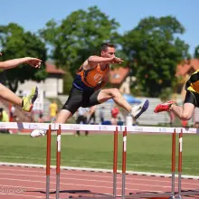 Zobacz zdjęcie: Bolesłavia z 24 medalami Mistrzostw Dolnego Śląska