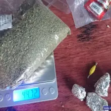Zobacz zdjęcie: Uprawiał maryśkę. 26-latkowi grozi do 10 lat więzienia