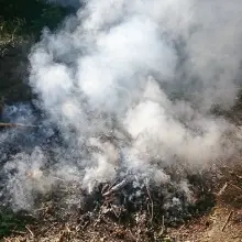 Zobacz zdjęcie: Spalał śmieci na swojej posesji, zadymił całą okolicę
