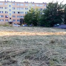 Zobacz zdjęcie: Skosili chaszcze przy Dino