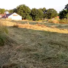 Zobacz zdjęcie: Skosili chaszcze przy Dino