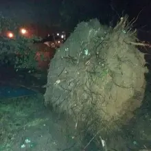 Zobacz zdjęcie: Nawałnica zniszczyła plac zabaw w Parku Miejskim