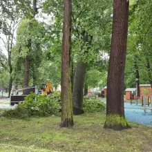 Переглянути фотографію: Служби прибирають після негоди