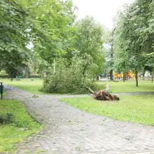 Переглянути фотографію: Служби прибирають після негоди