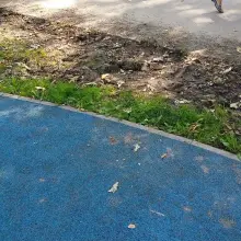 Zobacz zdjęcie: Nieład w parku Miejskim przy Tyrankiewiczów. „Dzieci biegają wokół wystających korzeni”