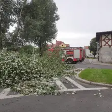 Zobacz zdjęcie: Łokietka: drzewo spadło na drogę
