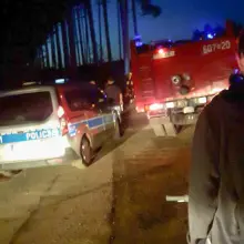 Zobacz zdjęcie: Staranował drzewo w lesie i uciekł z miejsca zdarzenia
