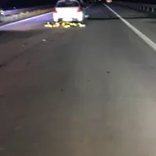 Zobacz zdjęcie: Pieszy zginął na A4