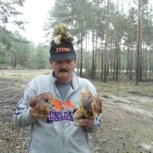 Zobacz zdjęcie: Zbiory Pana Zbigniewa