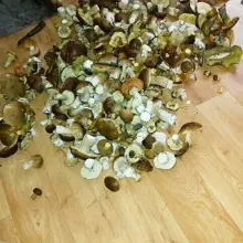 Zobacz zdjęcie: Zbiory Pana Zbigniewa