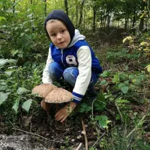 Zobacz zdjęcie: Zbiory Pawła i jego 7-letniego syna