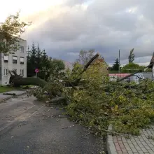 Zobacz zdjęcie: Masakryczna wichura szaleje w powiecie. Nie wychodźcie z domu