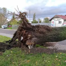 Zobacz zdjęcie: Masakryczna wichura szaleje w powiecie. Nie wychodźcie z domu