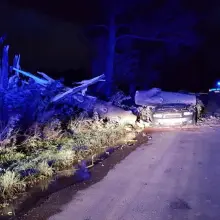 Zobacz zdjęcie: Koło Kraszowic drzewo runęło na auto – kierowca ranny