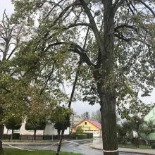 Zobacz zdjęcie: Zobacz, jakiego spustoszenia dokonała nawałnica w Bolesławcu