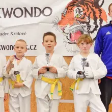 Zobacz zdjęcie: Taekwondziści z Chojnowa, podopieczni Yevgena Nikitina, cztery razy na podium Sokol Cup