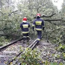 Zobacz zdjęcie: Orkan Ksawery: ponad sto interwencji naszych strażaków