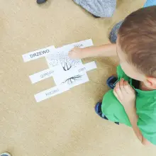 Zobacz zdjęcie: Święto Drzewa w Akademii Rozwoju