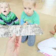 Zobacz zdjęcie: Święto Drzewa w Akademii Rozwoju