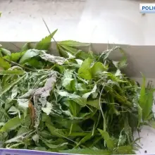 Zobacz zdjęcie: Dwaj ścigani listami gończymi przestępcy wpadli z narkotykami