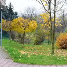 Zobacz zdjęcie: Za mało ławek i niewygodnie na placu zabaw przy Łukasiewicza?