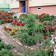Zobacz zdjęcie: Znamy laureatów tegorocznego konkursu „Bolesławiec w kwiatach”