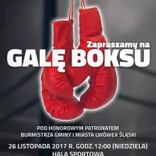 Zobacz zdjęcie: Gala Boksu i kiermasz ciast dla Huberta, który fleksem przeciął sobie tętnicę szyjną