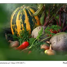 View photo: An Exhibition of Outstanding Photographs at “Handlówka”