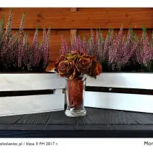 View photo: An Exhibition of Outstanding Photographs at “Handlówka”