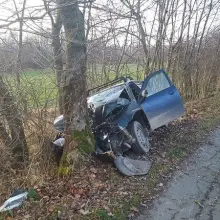 Zobacz zdjęcie: Mazda wjechała w drzewo. 38-letnia kierująca zmarła w szpitalu