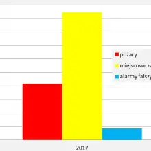 Zobacz zdjęcie: Strażacy: ponad 400 pożarów i prawie 90 fałszywych alarmów