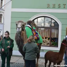 Zobacz zdjęcie: Orszak Trzech Króli przeszedł ulicami Zgorzelca i Görlitz