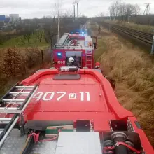 Zobacz zdjęcie: Pożar altanki przy Ekonomicznej